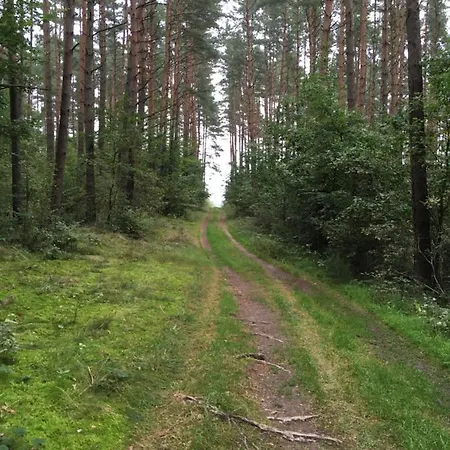 Nyaraló Zacisze