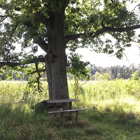 Zacisze *